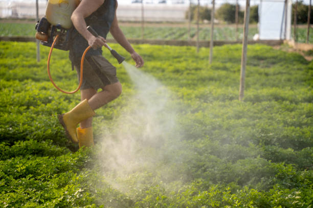 Best Pest Control for Businesses  in Stevenson, WA