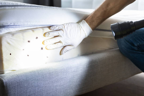Best Mosquito Control Services  in Stevenson, WA