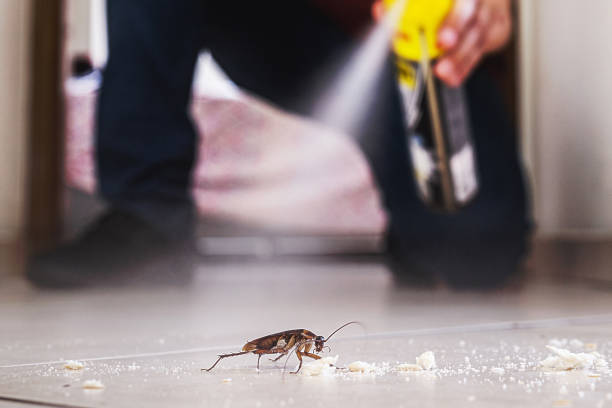 Best Pest Control Near Me  in Stevenson, WA